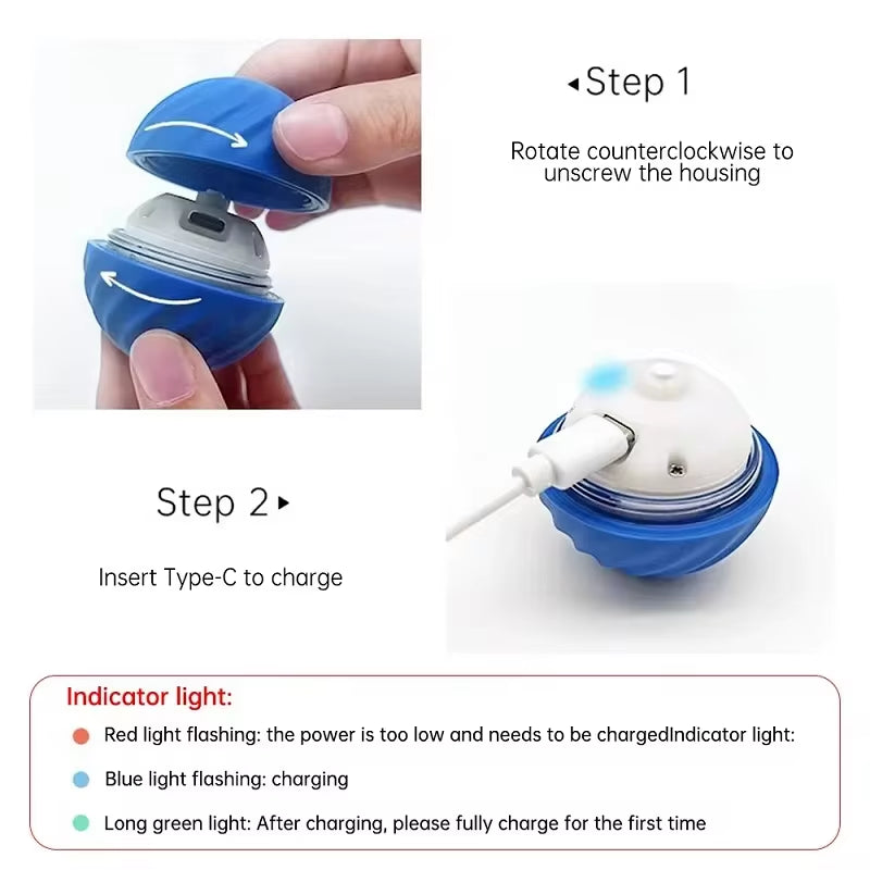 Smart Moving Interactive Dog Ball