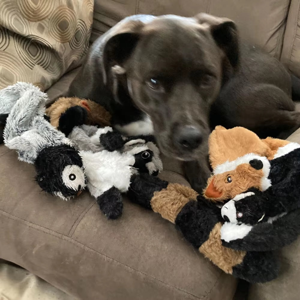 Squeaky Durable Stuffing-less Plush Squeaky Dog Toy