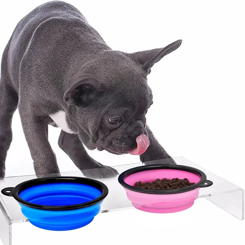 Collapsible Silicone Pet Travel Bowl with Carabiner