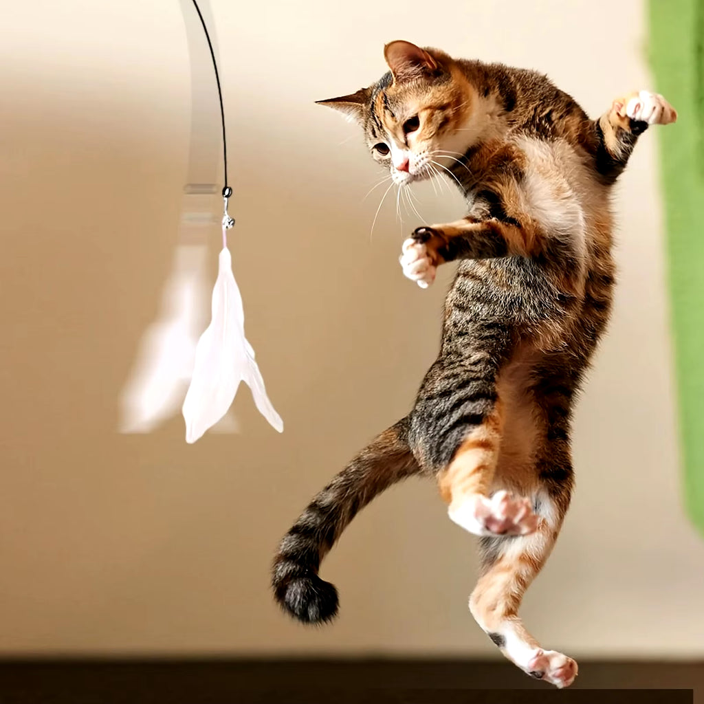 Hands-Free Interactive Cat Teaser & Feather Wand