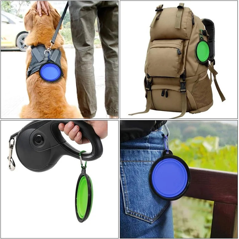 Collapsible Silicone Pet Travel Bowl with Carabiner
