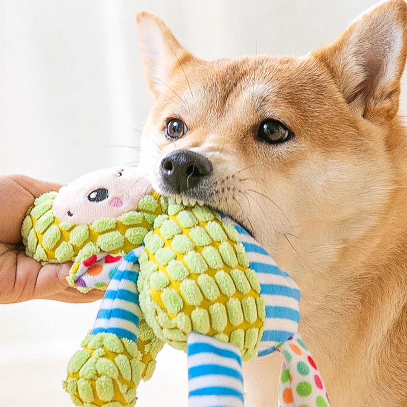 Durable Squeaky Dog Chew – Interactive Plush for Teeth Cleaning