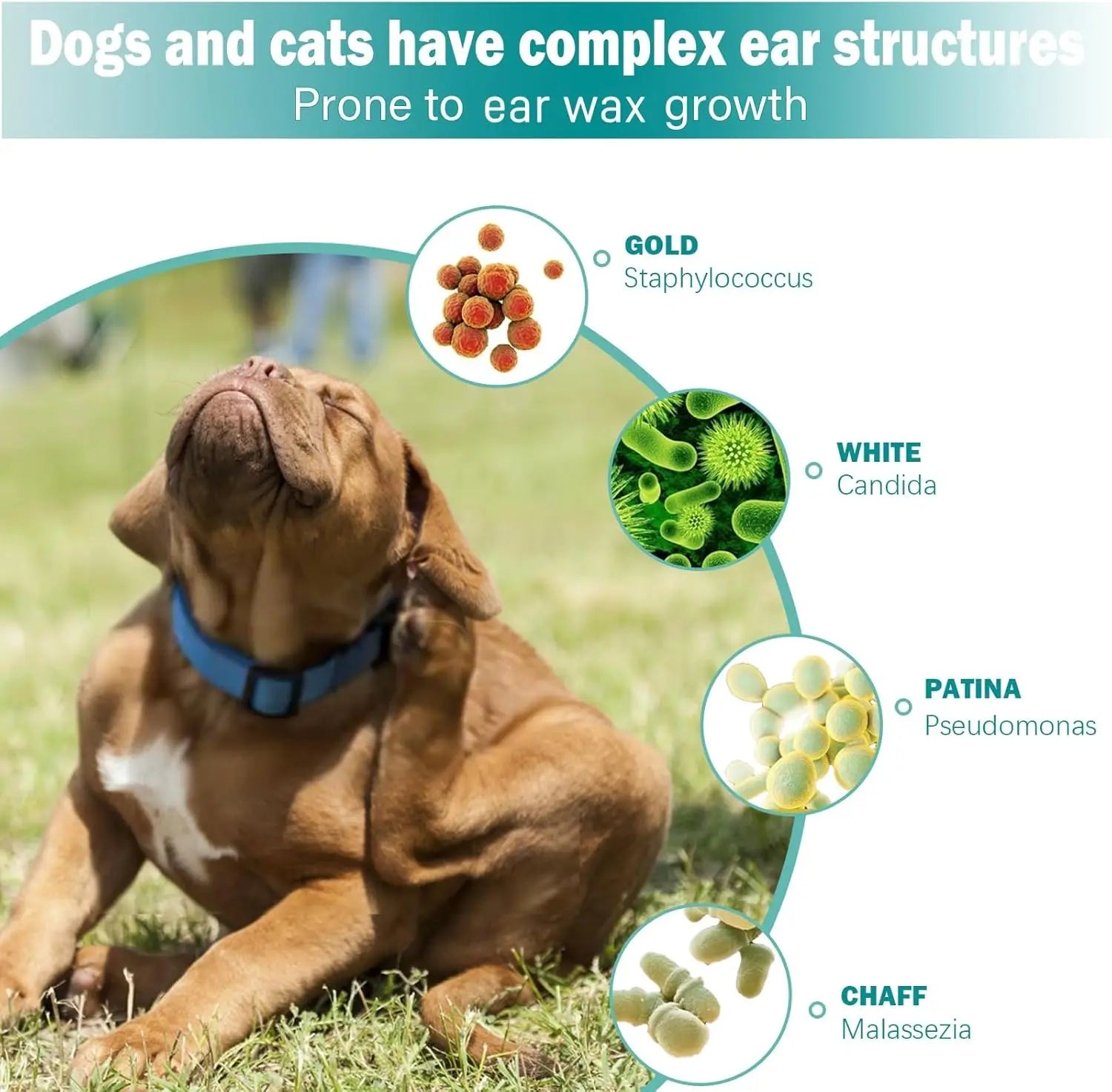 Deep Clean Pet Ear Finger Wipes