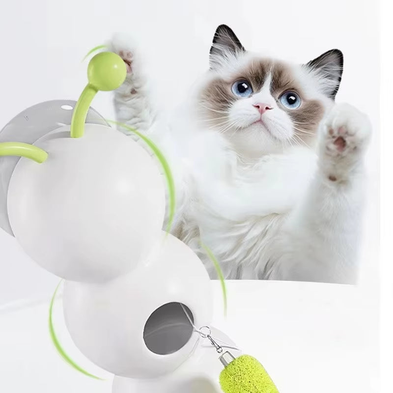 Caterpillar Interactive Kitty Toy