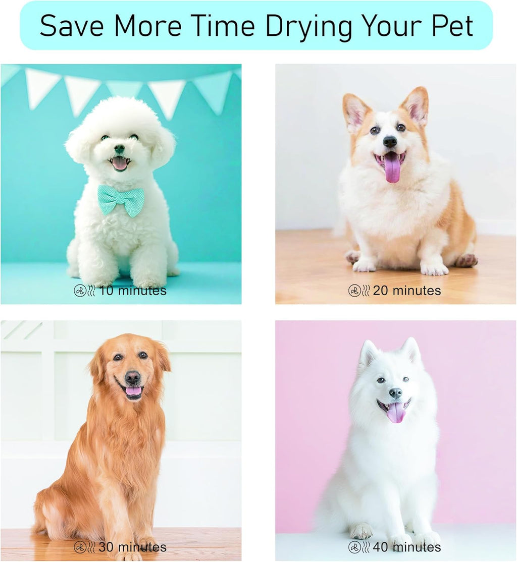  High Velocity Pet Hair Dryer