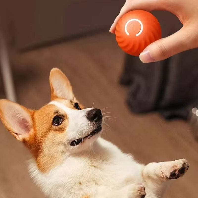 Smart Moving Interactive Dog Ball