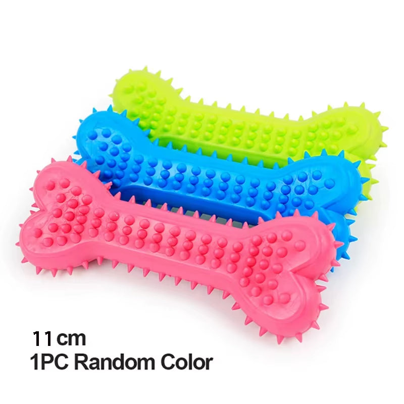 Small Dog Dental Chew & Training Toy