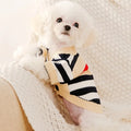 Luxury Sweater for Small Dogs & Cats