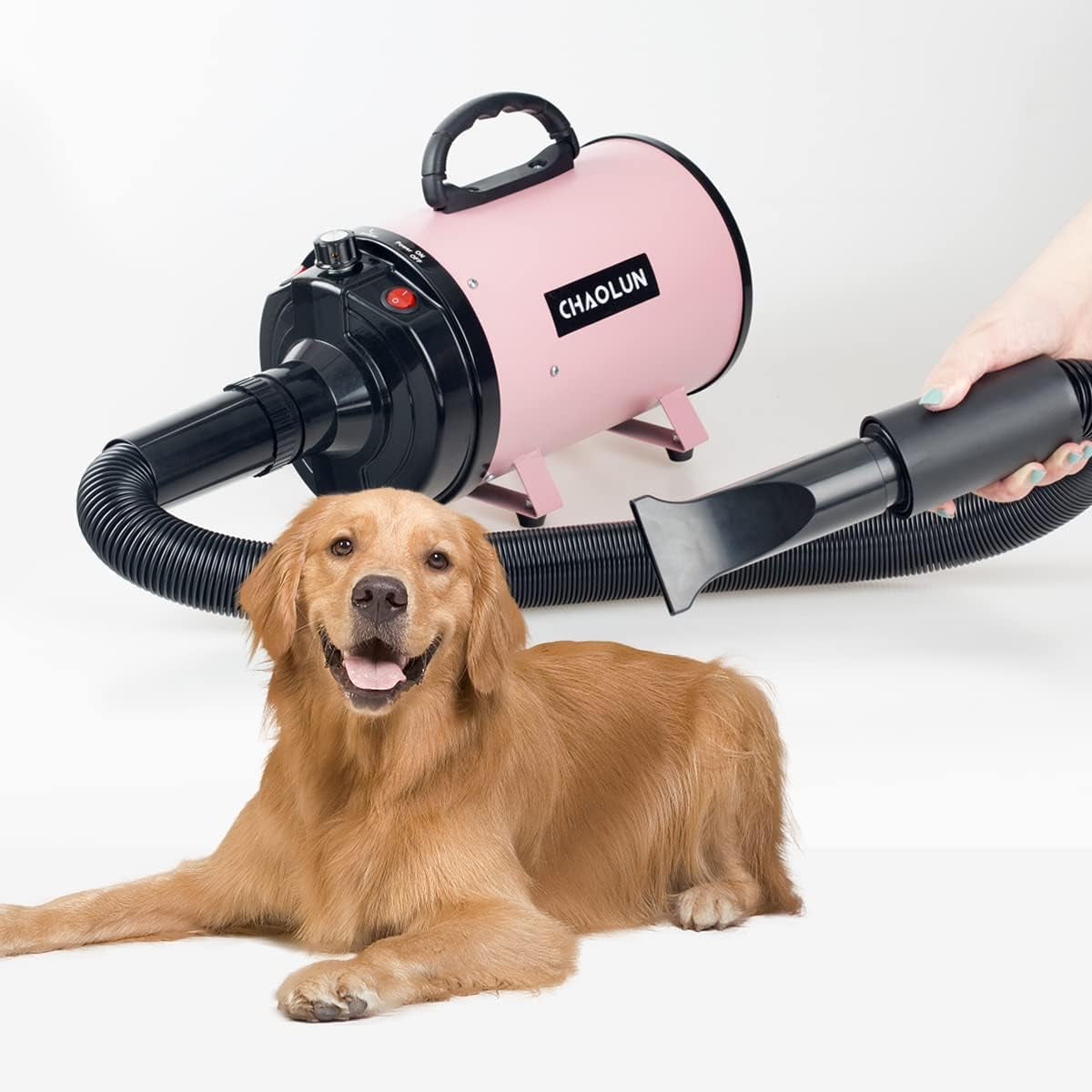  High Velocity Pet Hair Dryer