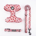 Breathable Knit Fabric Dog Harness & Leash Set - All-Season Vest