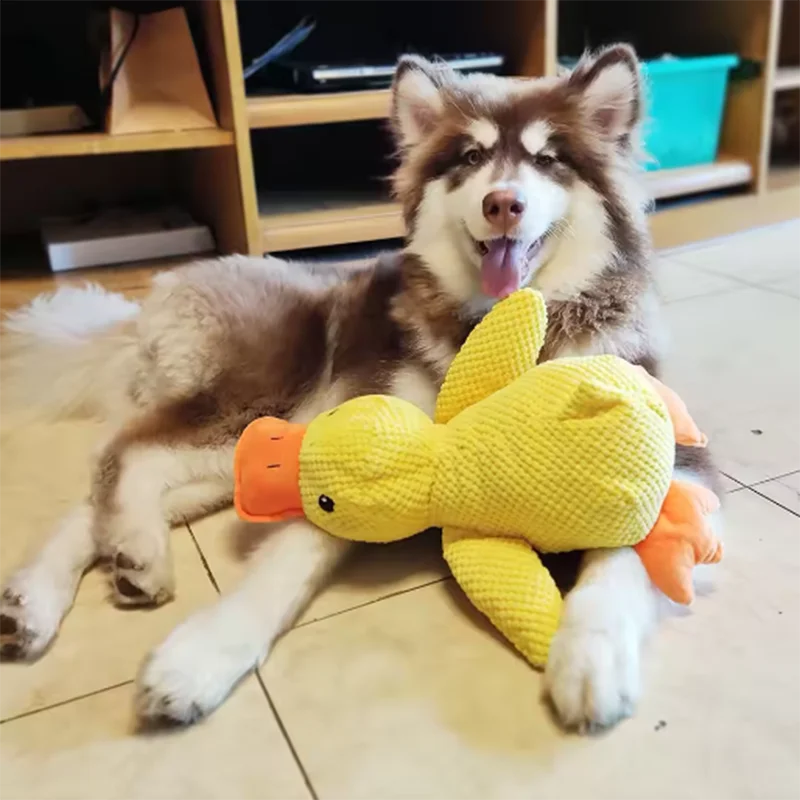 Stomping Duck Bite Resistant Toy