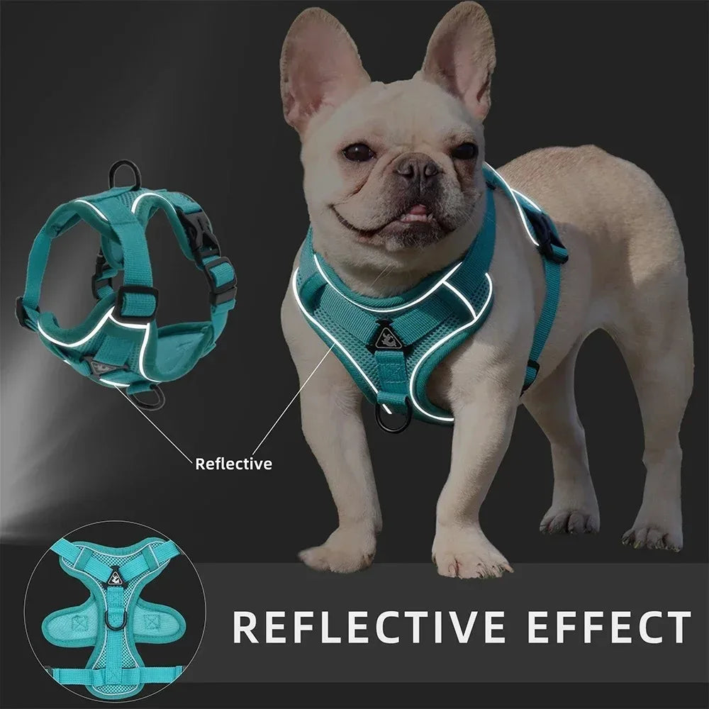 SwiftFit No-Pull Harness and Leash