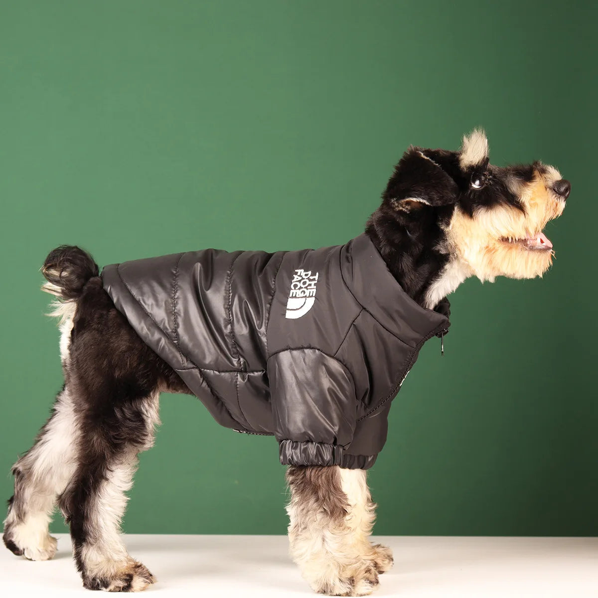 Warm Windproof Winter Jacket