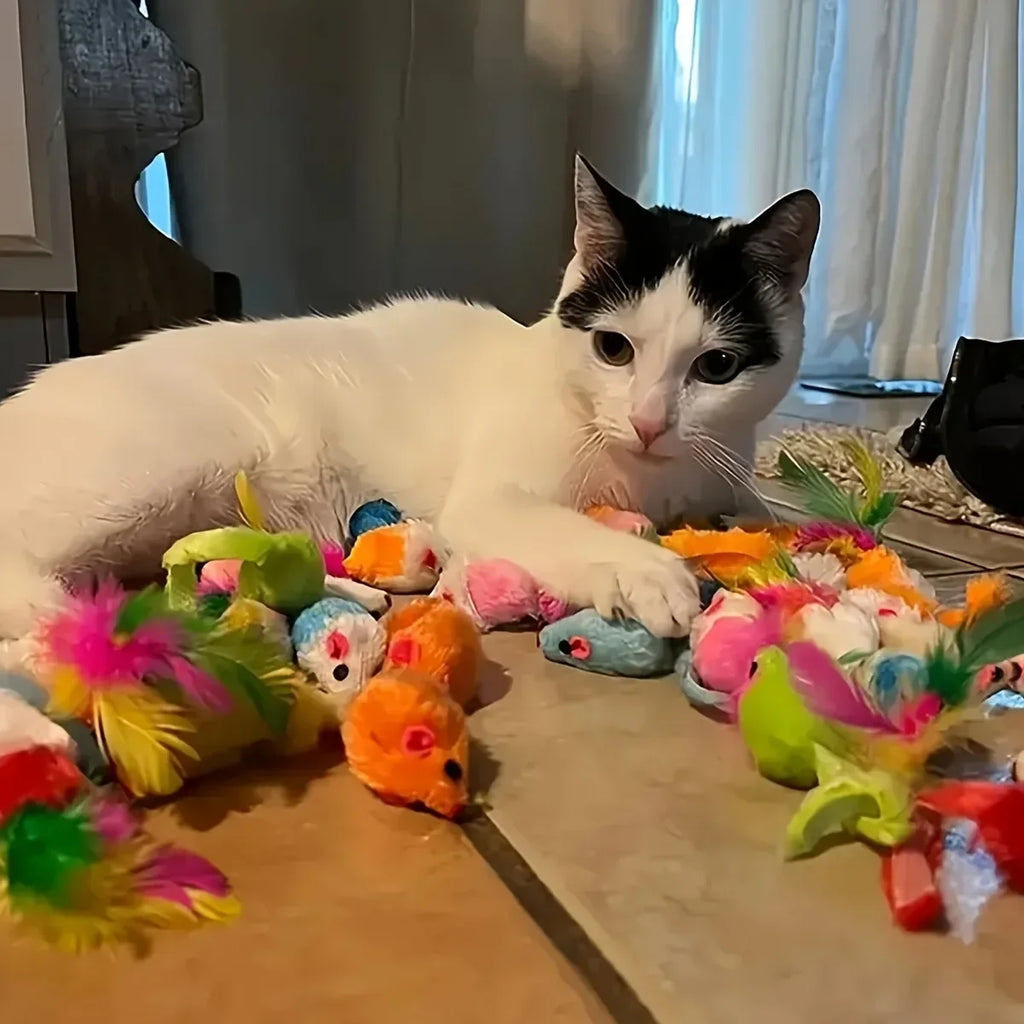 56Pcs/28Pcs/14Pcs Ultimate Multi-Cat Plush & Plastic Toy Set