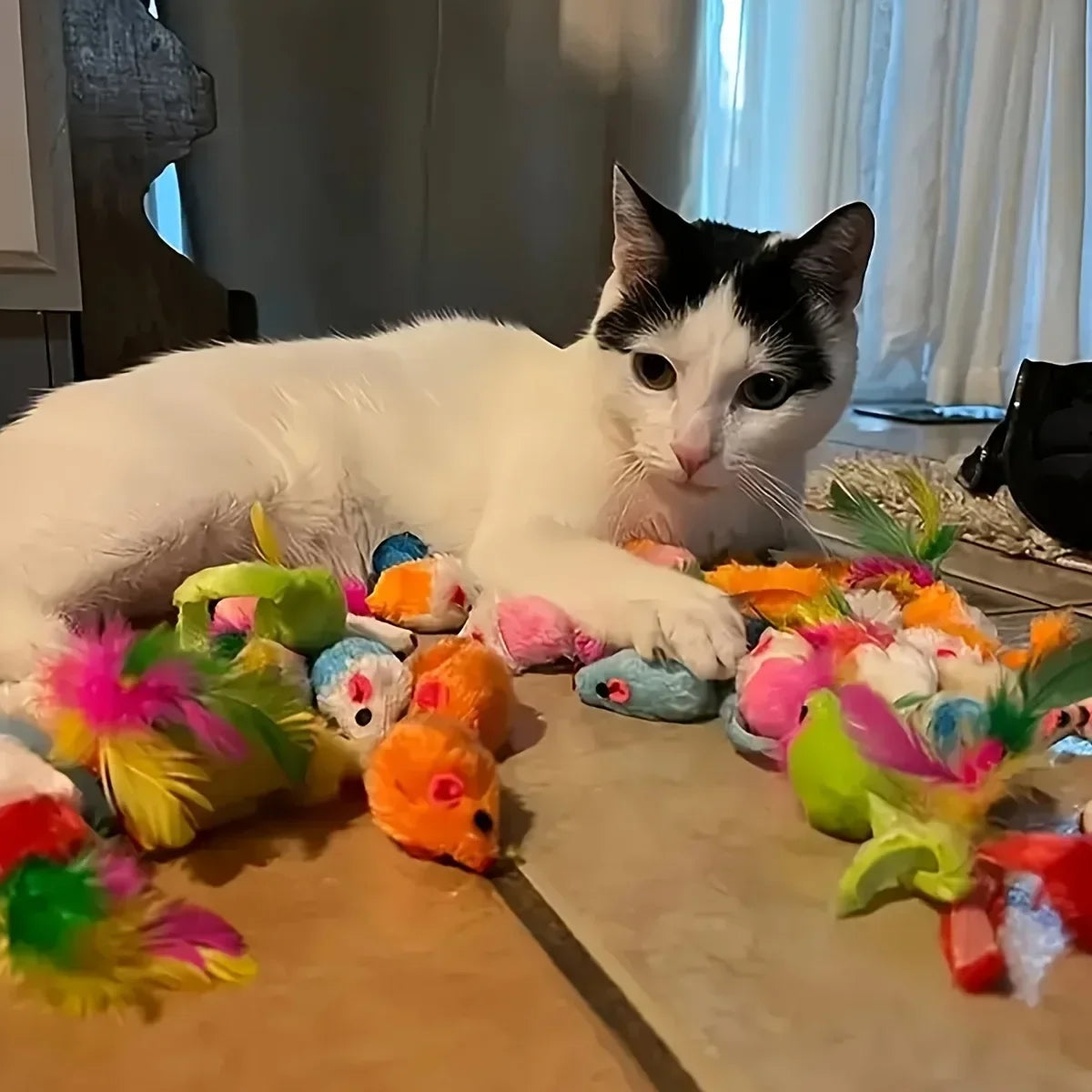 56Pcs/28Pcs/14Pcs Ultimate Multi-Cat Plush & Plastic Toy Set