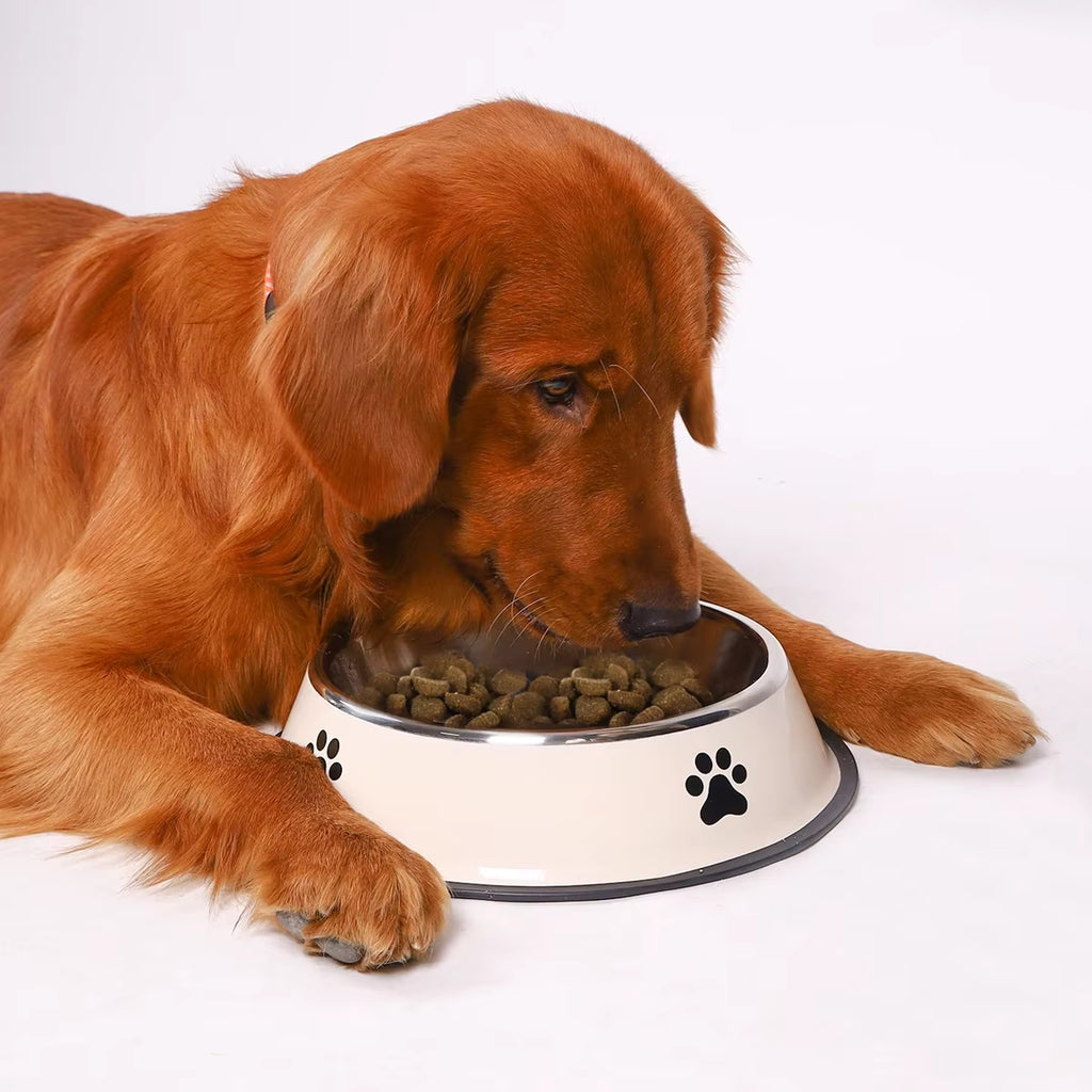 Premium Stainless Steel Pet Bowl