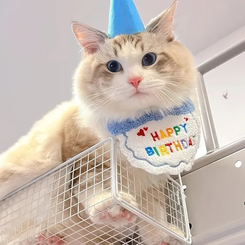 Pet Birthday Celebration Kit – Adjustable Party Hat & Soft Bandana Set for Dogs and Cats