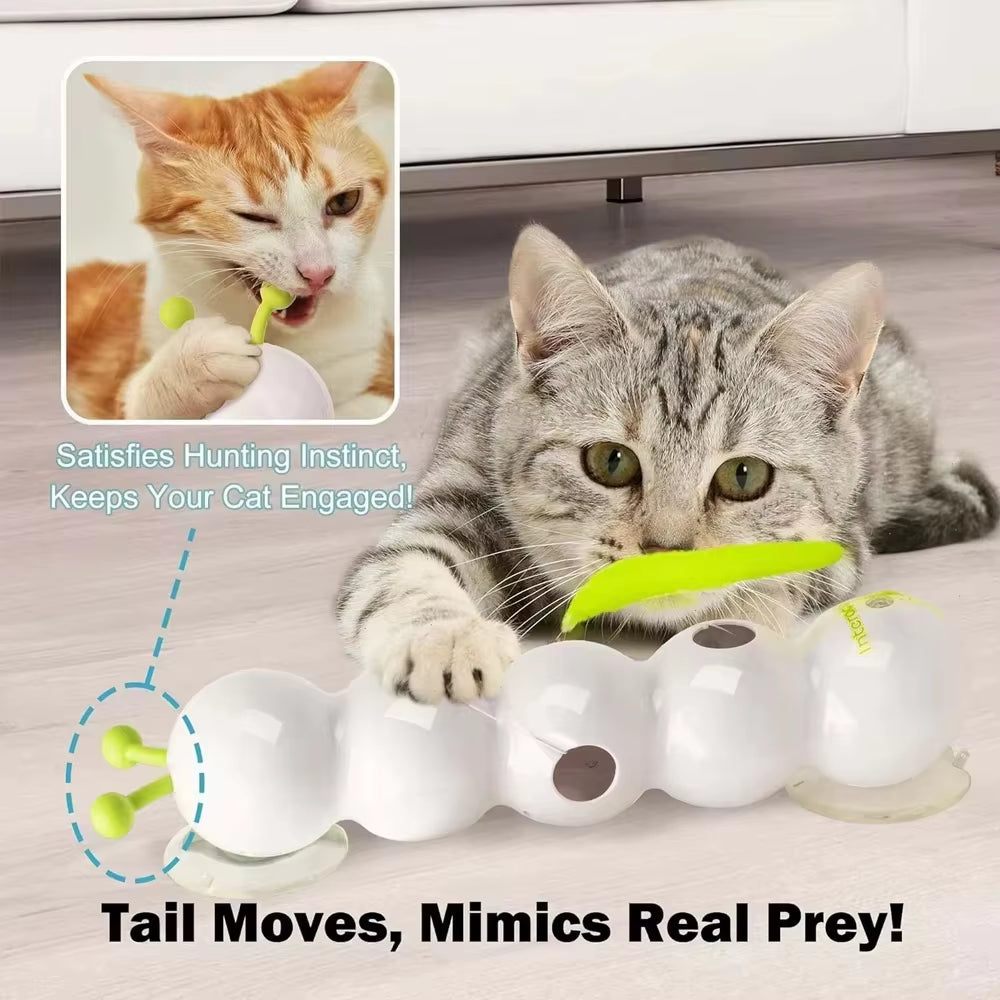 Caterpillar Interactive Kitty Toy