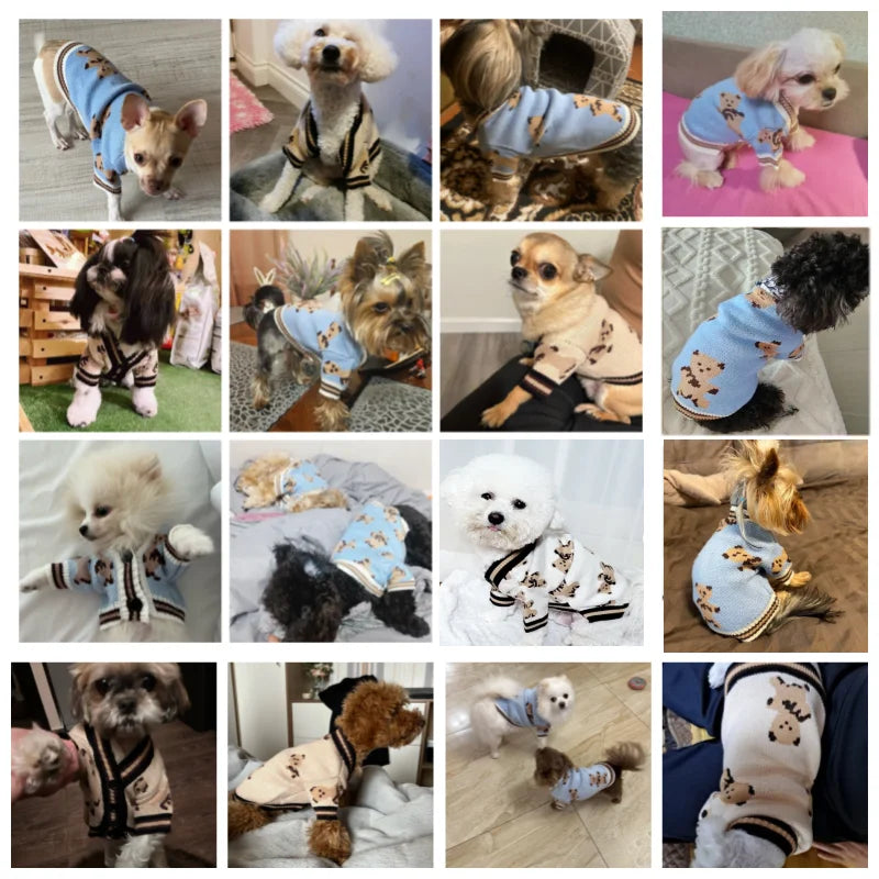 Luxury Sweater for Small Dogs & Cats