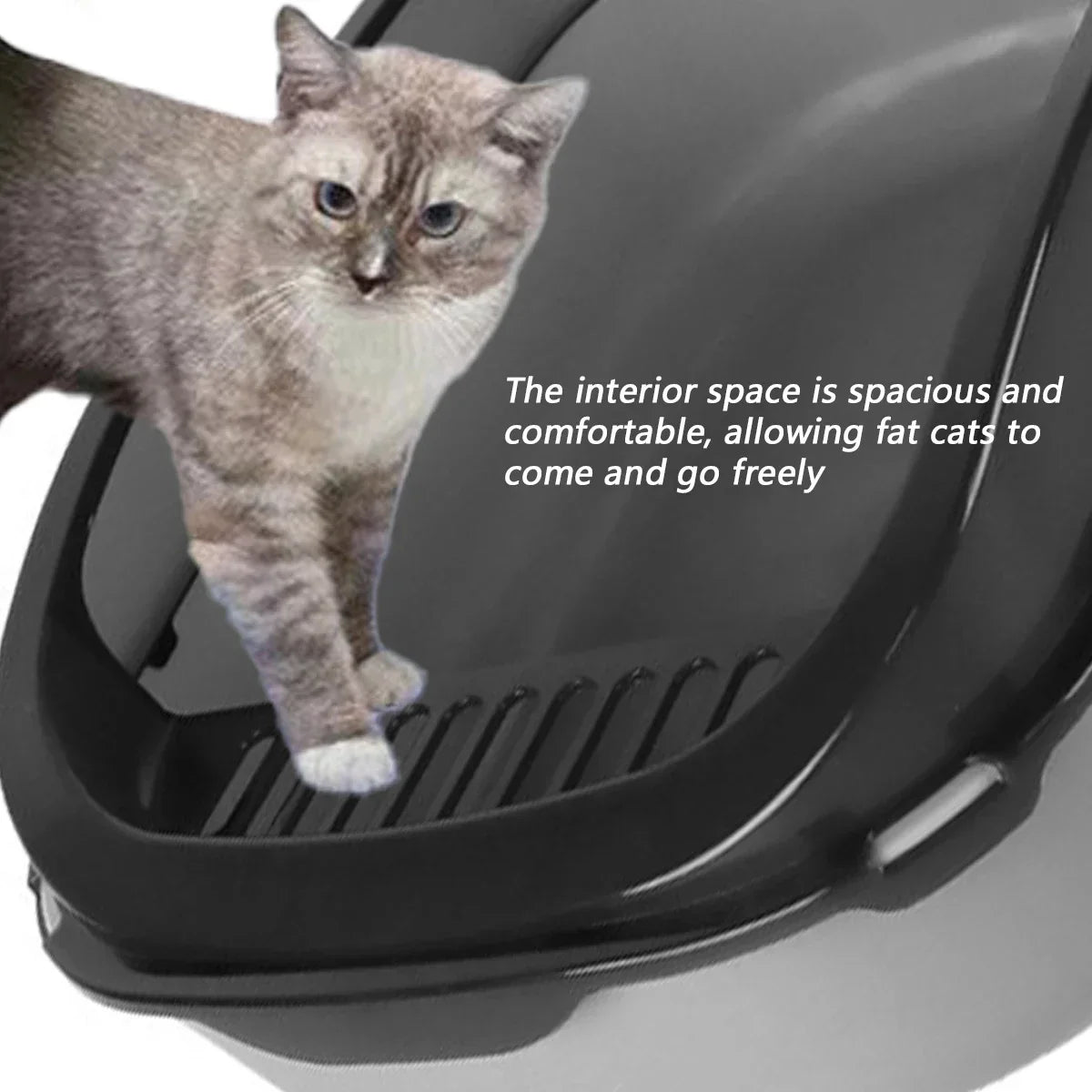 High-Side Cat Litter Box with Scoop