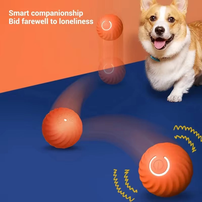 Smart Moving Interactive Dog Ball
